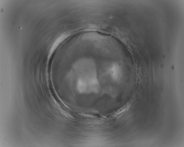 X0000070410102200606231838