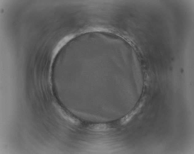 X0000070410104200606231838