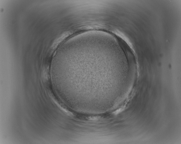 X0000070410105200606231838