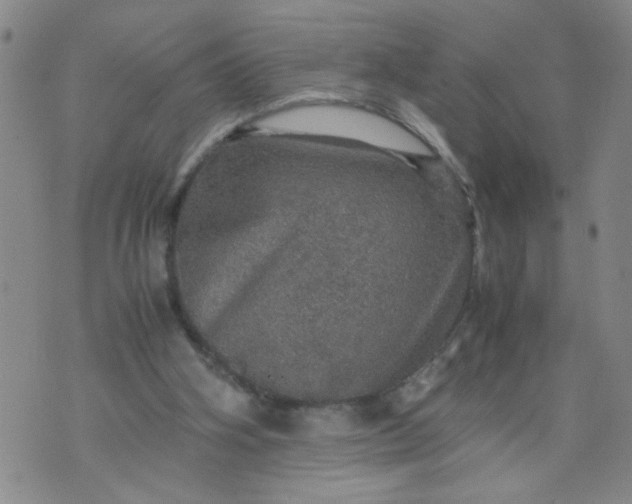 X0000070410106200606231838