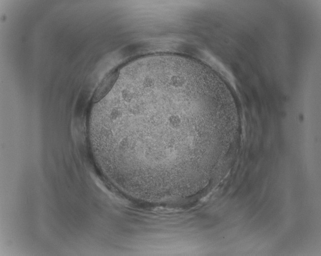 X0000070410107200606231838