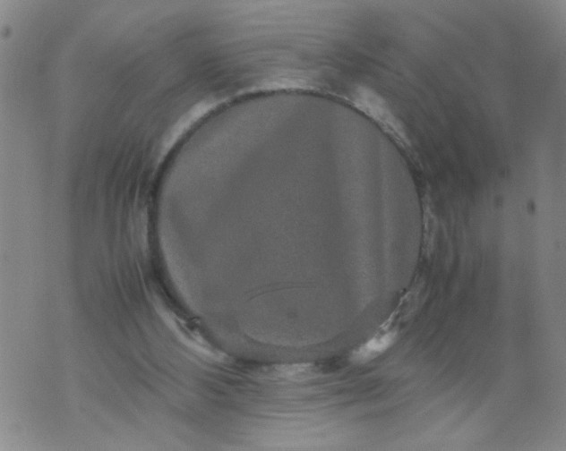 X0000070410108200606231838