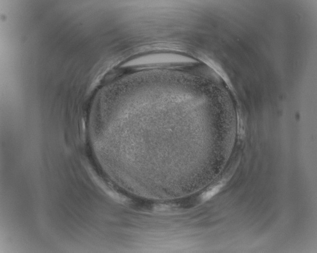 X0000070410109200606231838