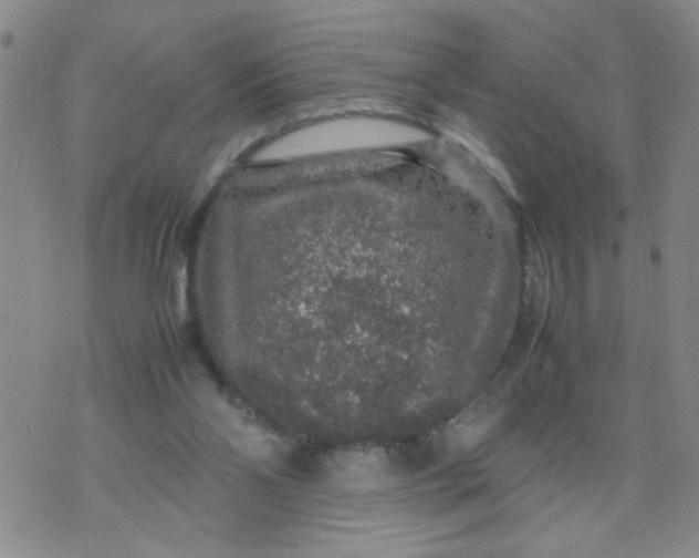 X0000070410110200606231838