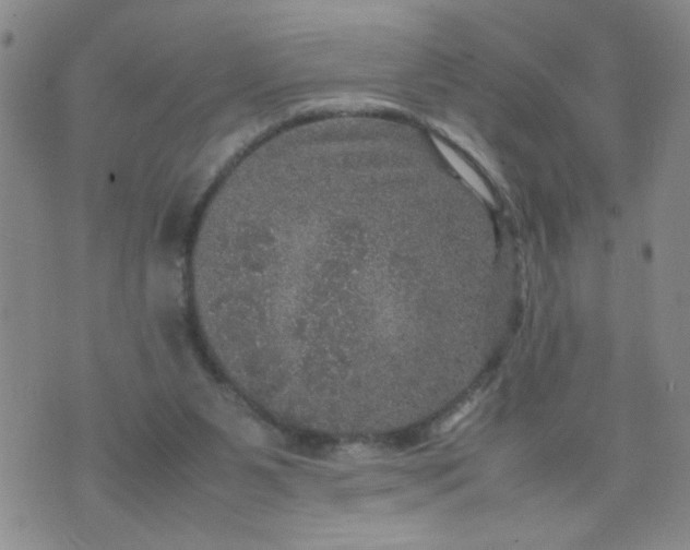 X0000070410111200606231838