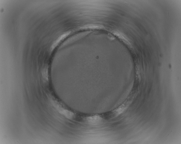 X0000070410112200606231838