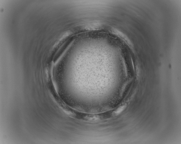 X0000070410113200606231838