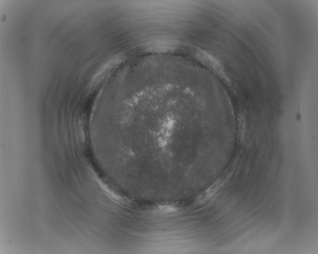 X0000070410114200606231838