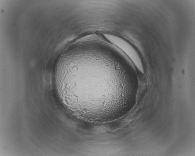 X0000070410115200606231838