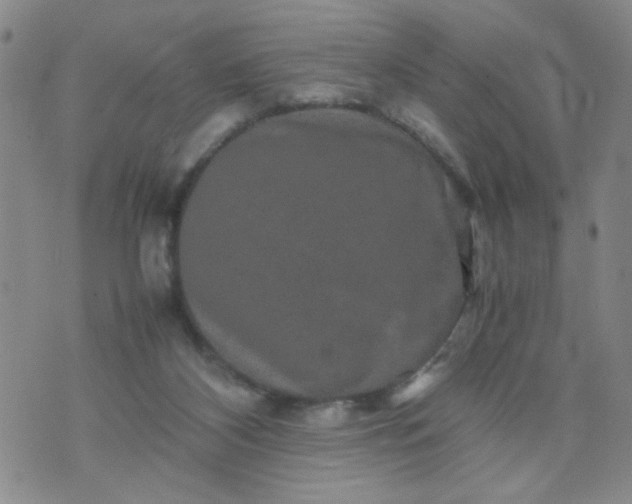 X0000070410116200606231838