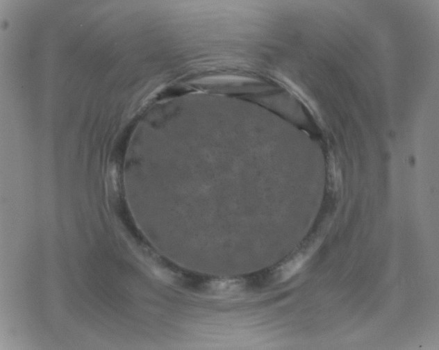 X0000070410117200606231838