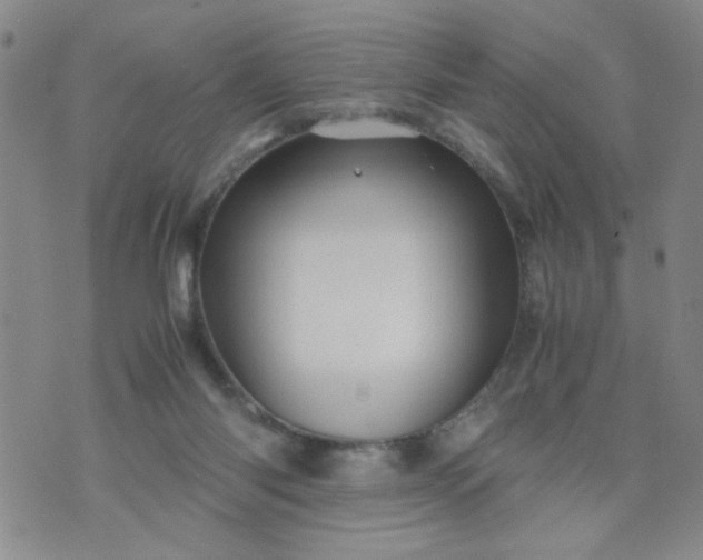 X0000070410118200606231838