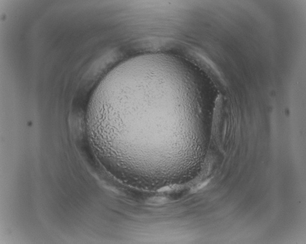 X0000070410119200606231838