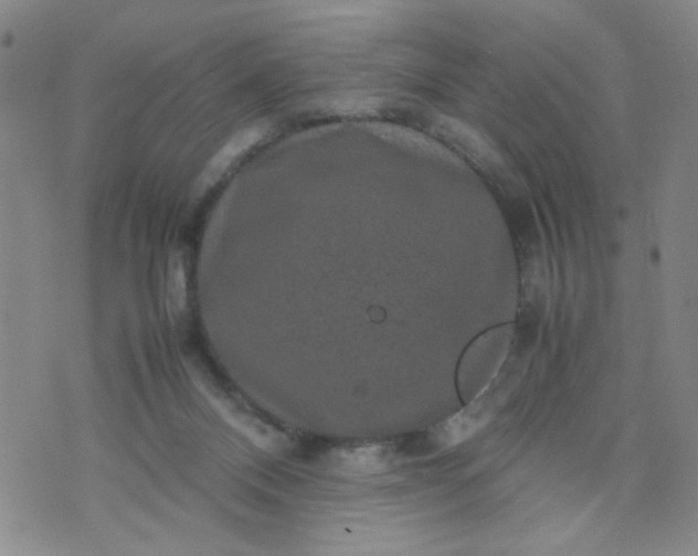 X0000070410120200606231838