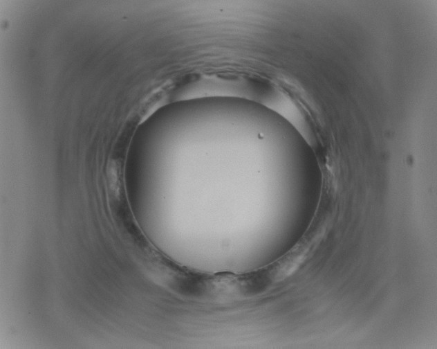 X0000070410121200606231838