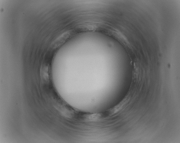 X0000070410122200606231838