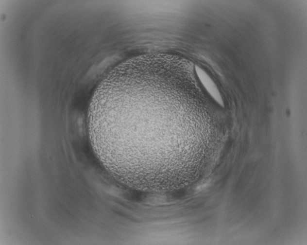 X0000070410123200606231838