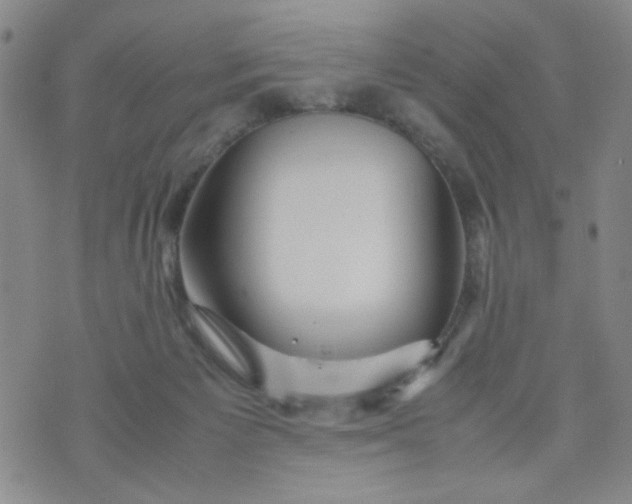 X0000070410125200606231838