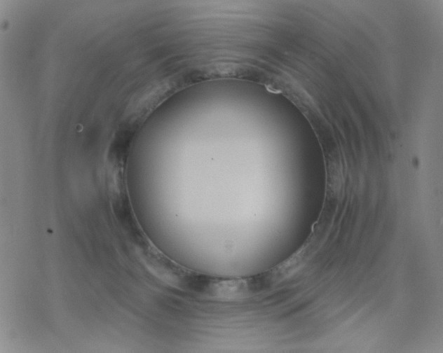 X0000070410126200606231838