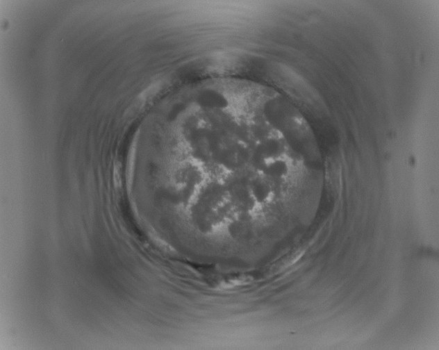 X0000070410127200606231838