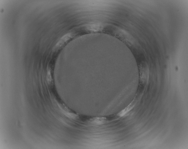 X0000070410128200606231838