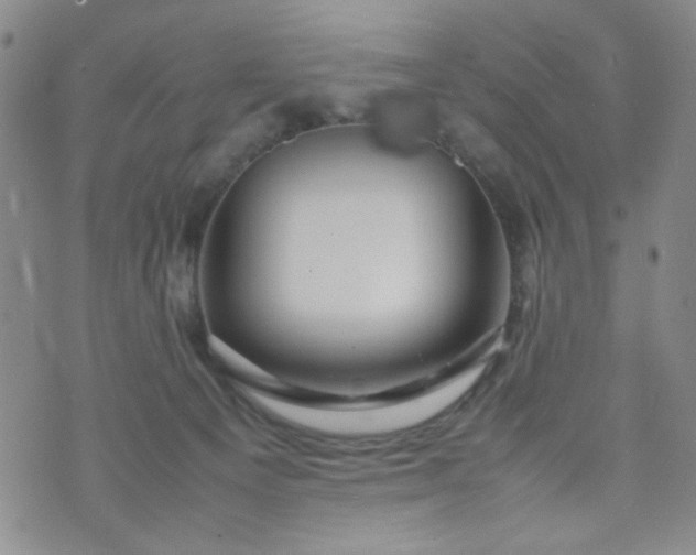 X0000070410129200606231837