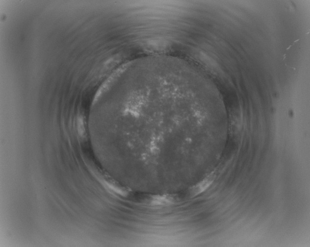 X0000070410130200606231837