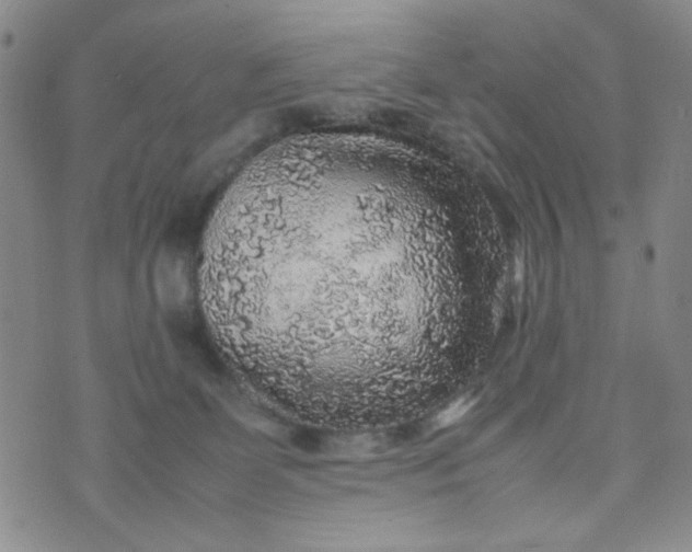 X0000070410131200606231837