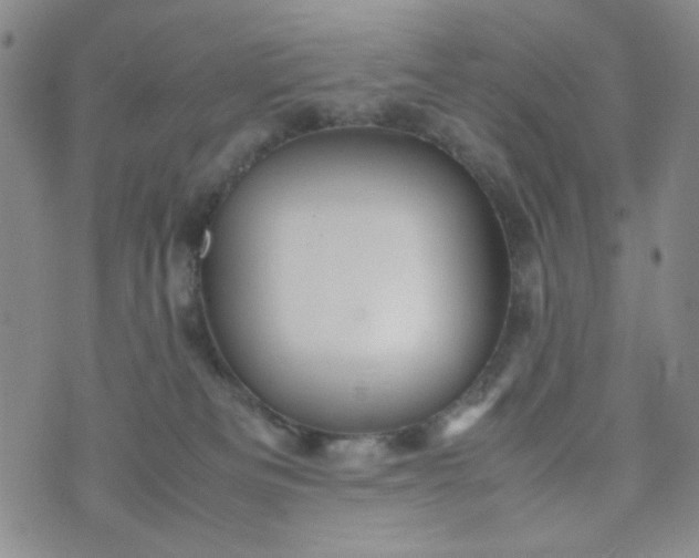 X0000070410133200606231837