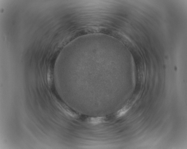 X0000070410134200606231837