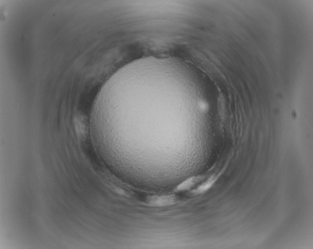 X0000070410135200606231837