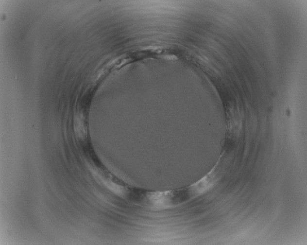 X0000070410136200606231837