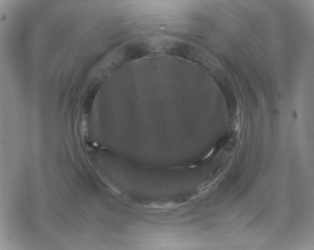 X0000070410137200606231837