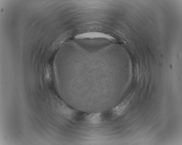 X0000070410138200606231837