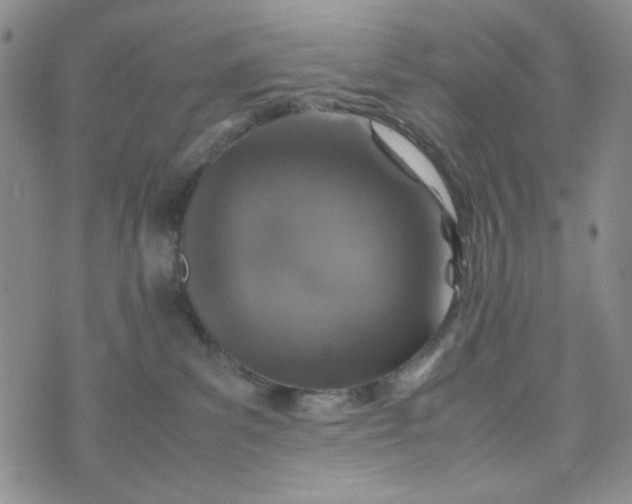 X0000070410139200606231837