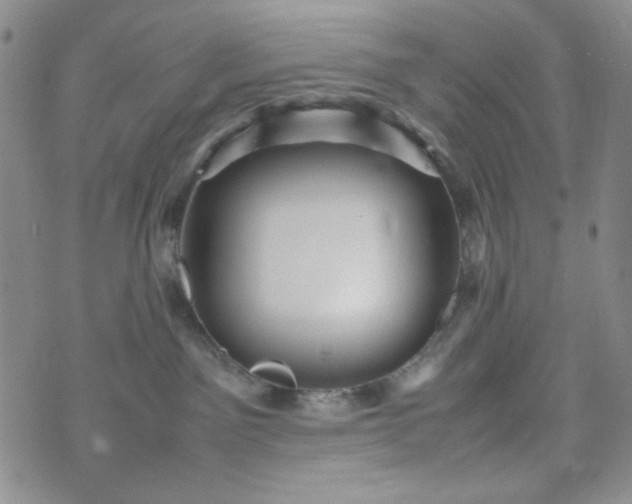 X0000070410141200606231837