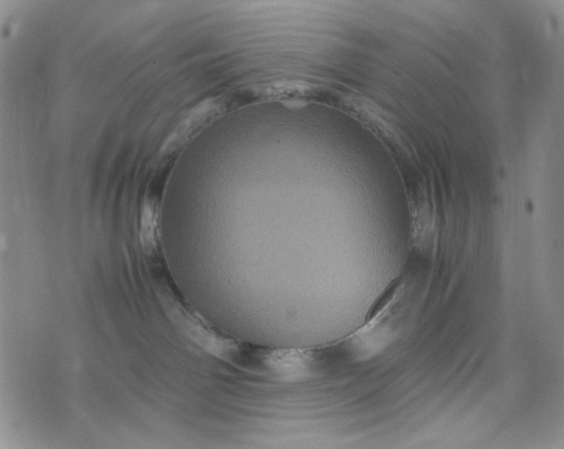 X0000070410142200606231837