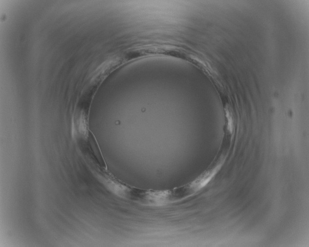 X0000070410143200606231837