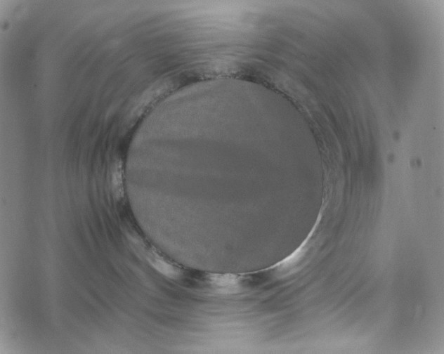 X0000070410144200606231837