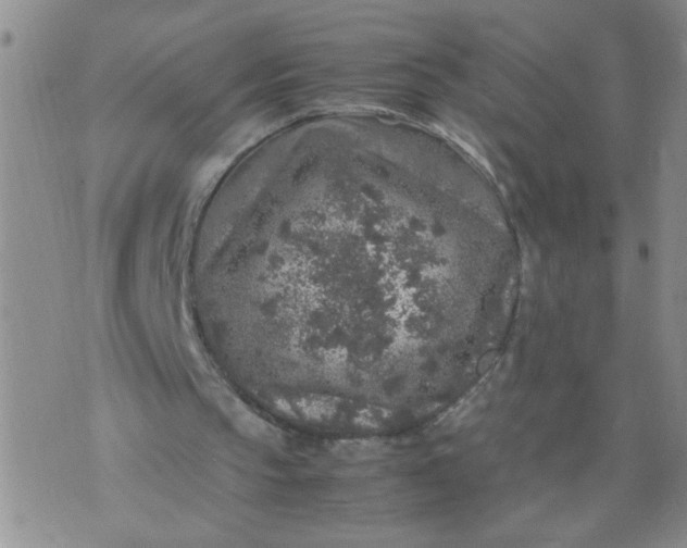 X0000070410145200606231836