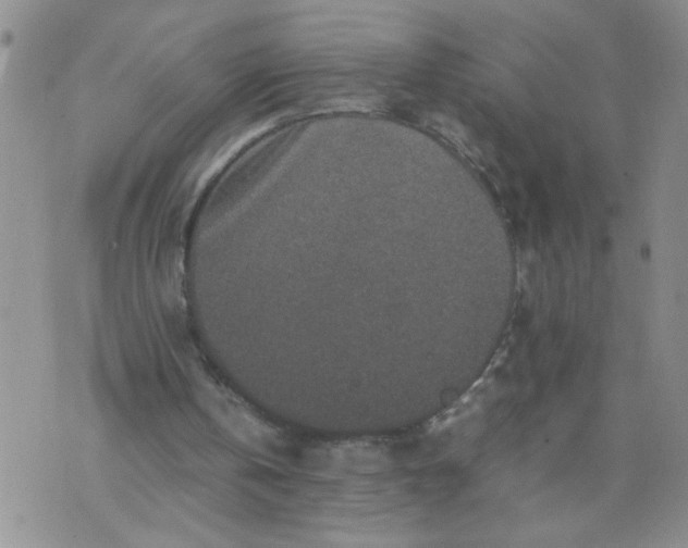 X0000070410146200606231836