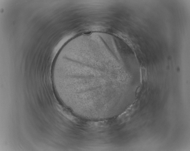 X0000070410147200606231837