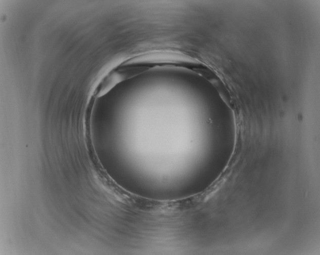 X0000070410148200606231837