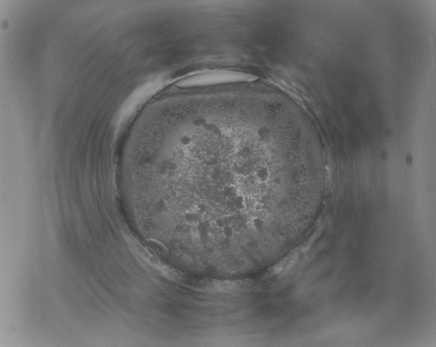 X0000070410149200606231837