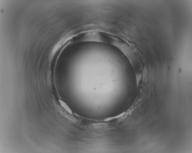 X0000070410150200606231837