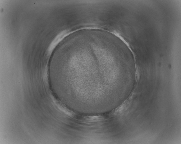 X0000070410151200606231837