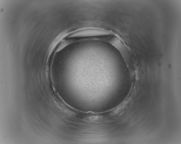 X0000070410152200606231837