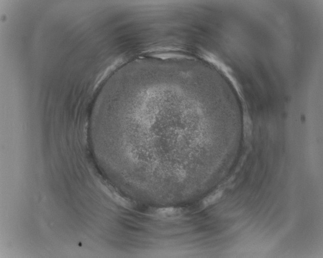 X0000070410153200606231837