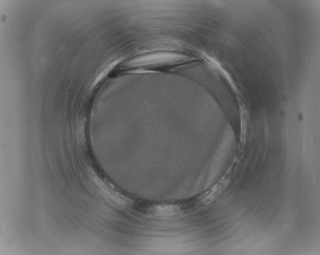 X0000070410154200606231837