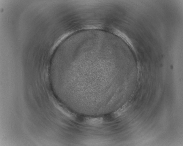 X0000070410155200606231837